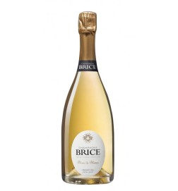 BRICE Blanc de Blancs Extra Brut Premier Cru 75cl