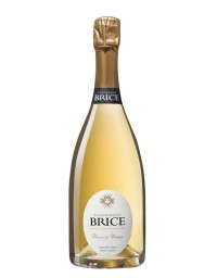 BRICE Blanc de Blancs Extra Brut Premier Cru 75cl