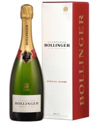 BOLLINGER Spécial Cuvée 150cl Magnum - Etui