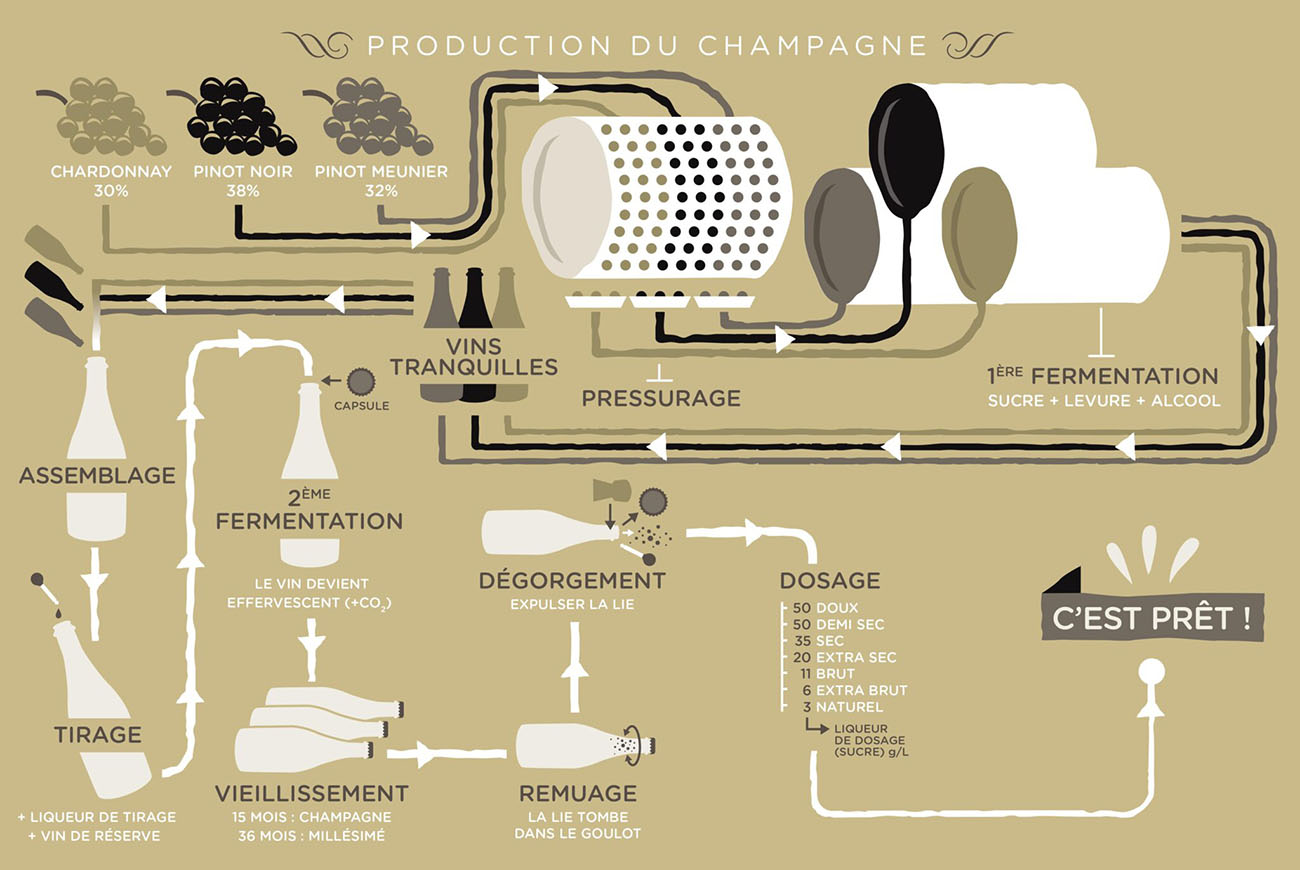 Du raisin à la bouteille, voici comment est fabriquée le champagne !