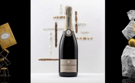 Guide complet du Champagne : histoire, terroirs et secrets de dégustation